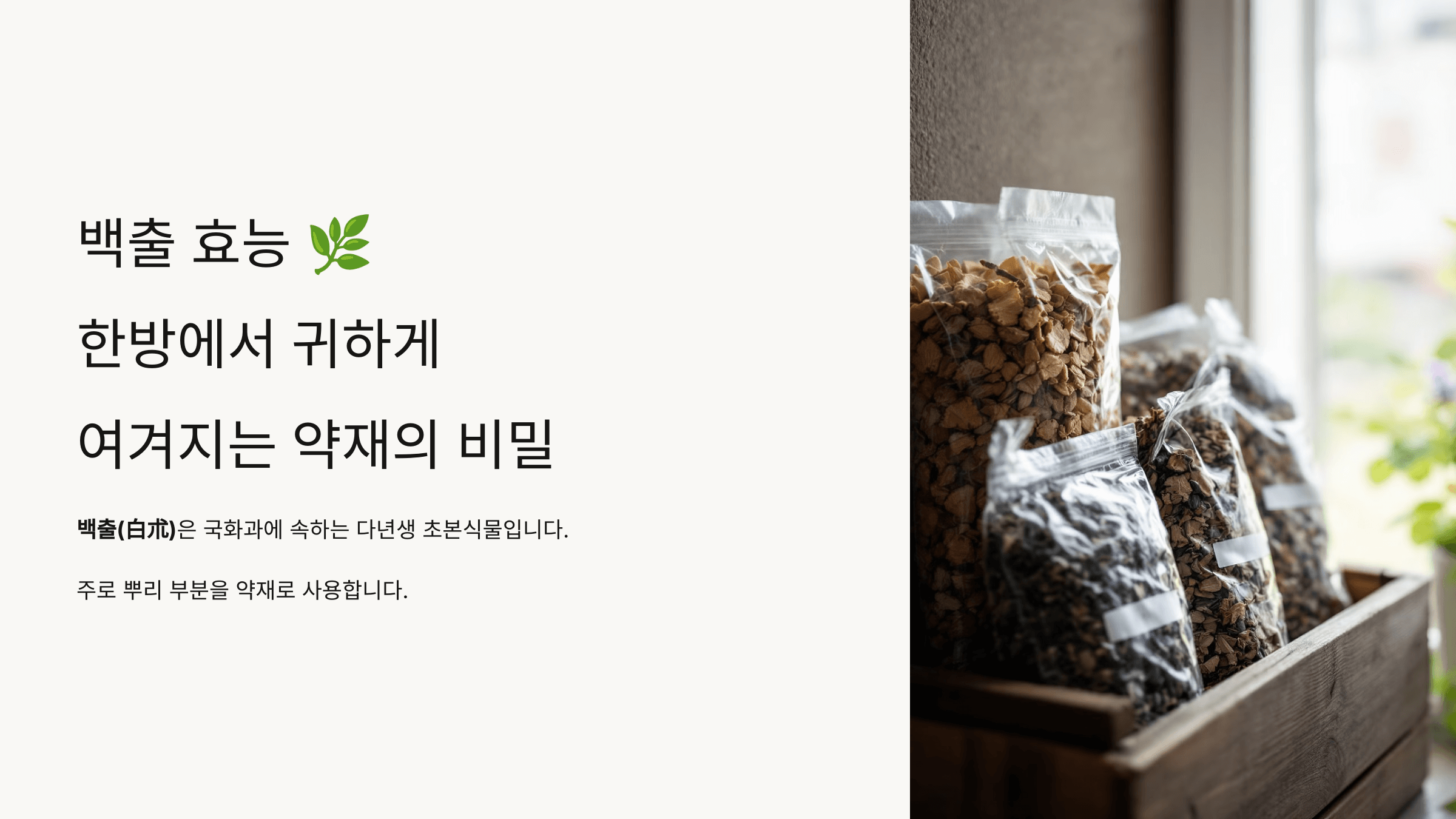 백출과 관련된 사진입니다.