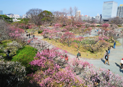 후쿠오카 마이즈루공원