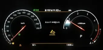 요소수 경고등 주행 거리 10리터 가격_13