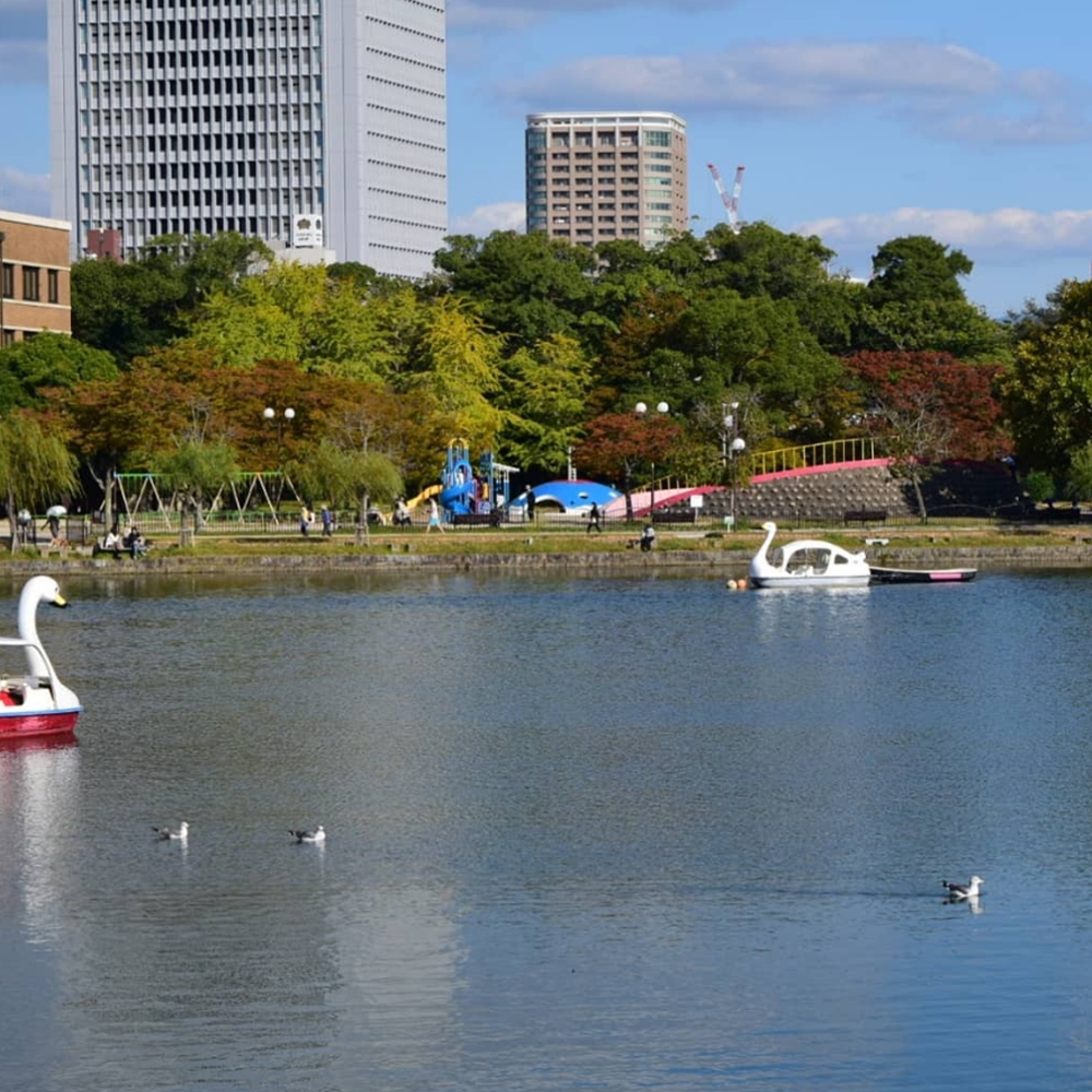 후쿠오카여행 오호리공원