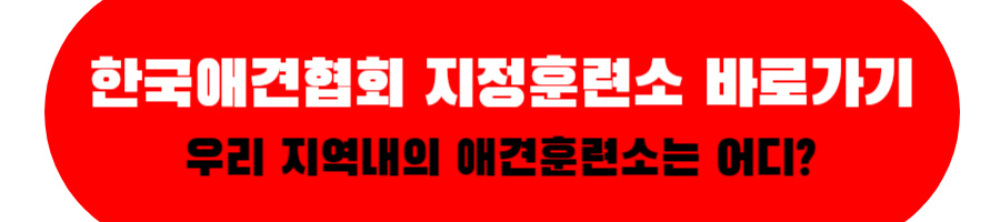 한국애견협회 지정훈련소 바로가기