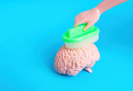 뇌 노폐물 배출 관련 사진