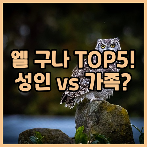 홍해의 베니스 엘 구나 호텔 5곳 성..