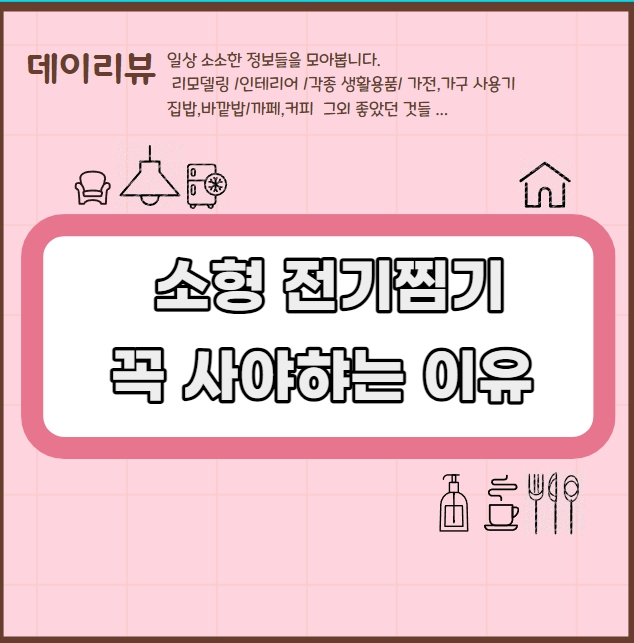 주방필수템 소형 전기찜기