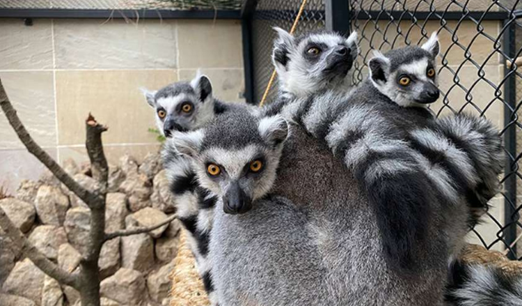 대구 네이처파크 실내동물원
