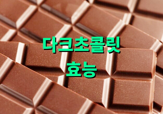 다크초콜릿 효능