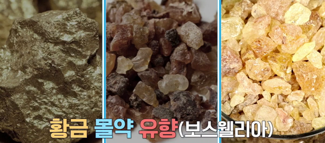 보스웰리아 효능