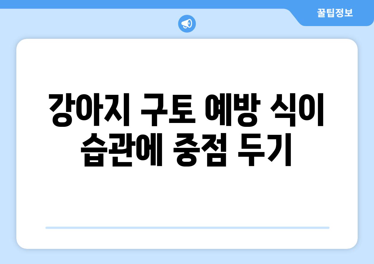 강아지 구토 예방 식이 습관에 중점 두기