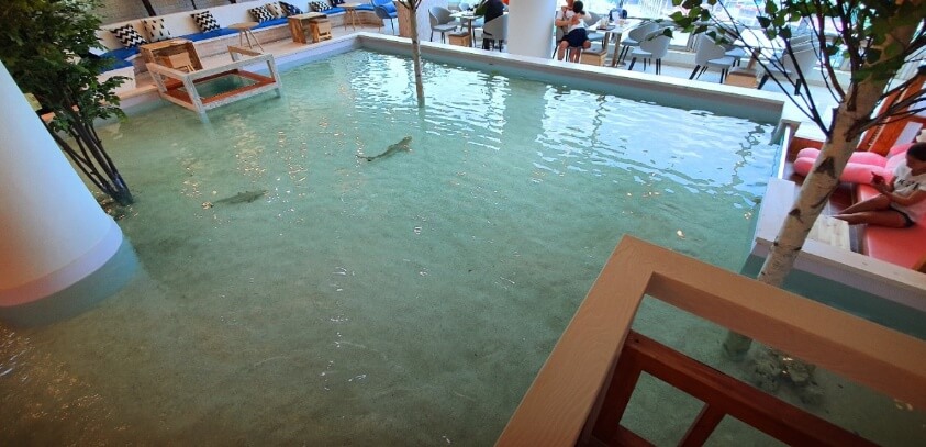 비오는날 가볼만한곳