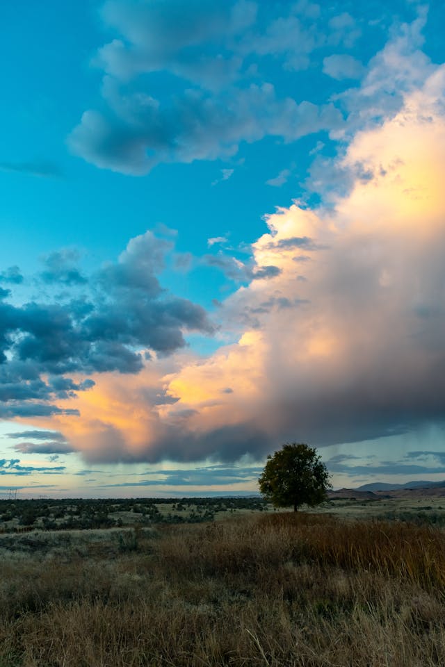 우리나라 가을 날씨 예보
