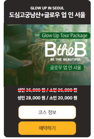 서울 벚꽃 데이트 추천! 서울시티투어버스로 편하게 즐기는 서울 벚꽃 관련사진