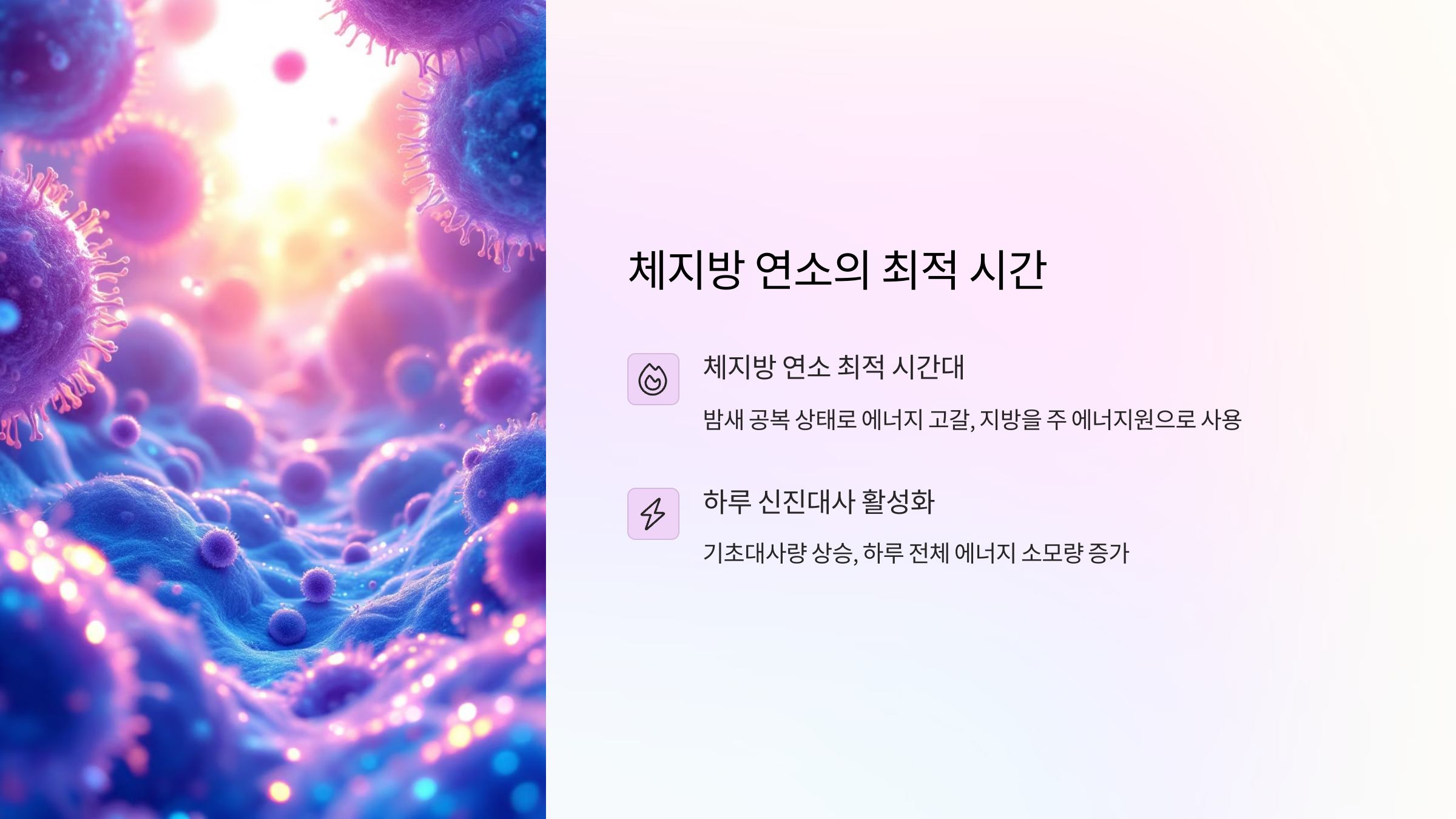 체지방 연소의 최적 시간