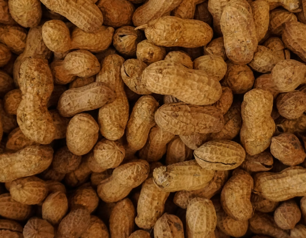 땅콩 효능 : 체중관리