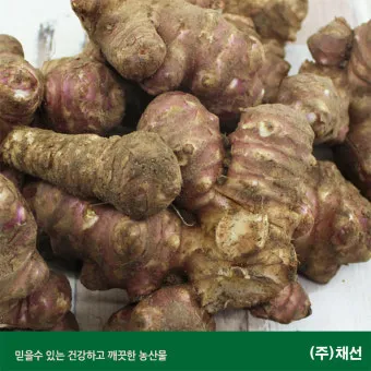 돼지감자 수확시기 먹는법 파종시기_7