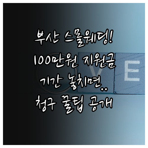 2025 부산 작은 결혼식 100만원..