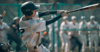 2024년 KBO정규리그 프로야구 경기장