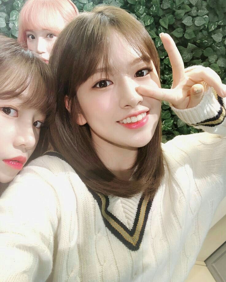 아이즈원 프로듀스48 사진 모음 아이즈원 프로듀스48 사진 모음