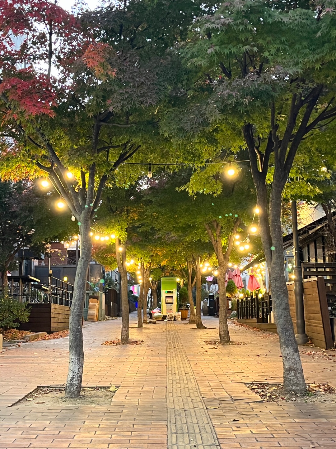 판교 카페 거리2