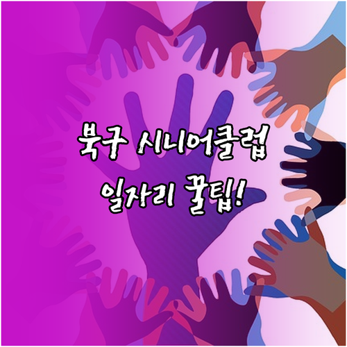 광주 북구 시니어클럽 공익활동 사회서..