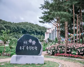공주 수국축제 유구색동 수국 정원 꽃축제_3