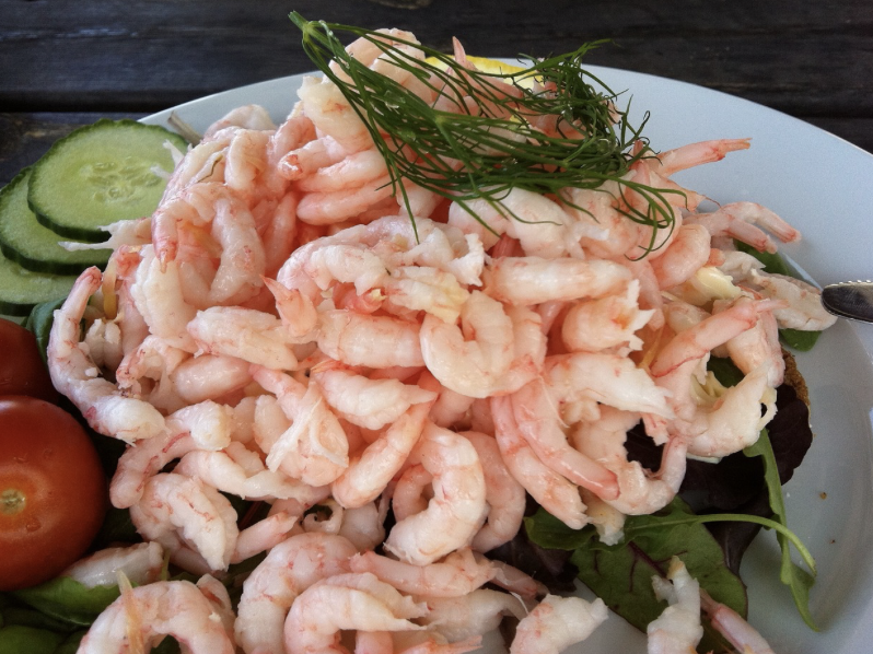 스웨덴의 ‘새우 샌드위치 데이(Räkmackans Dag)’ – 북유럽의 미식과 유머가 만나는 날