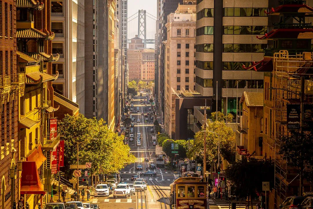 도로의 많은 차량들이 있다