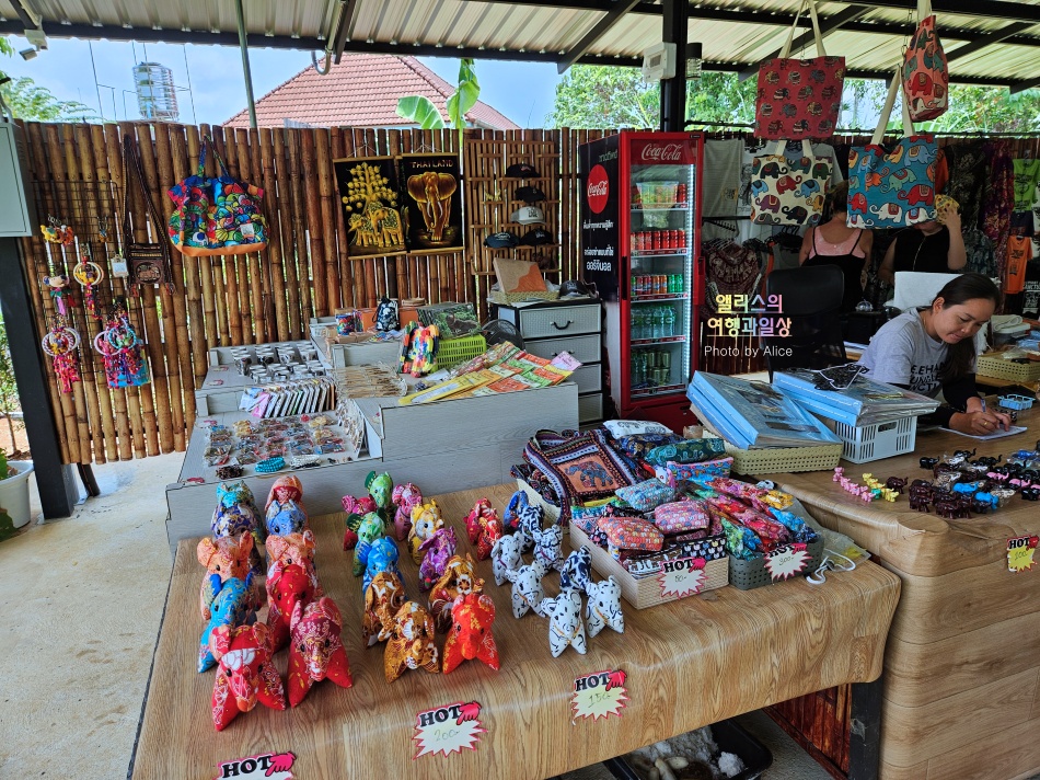 푸켓 가볼만한곳, 엘리펀트 정글 생츄어리 코끼리 샤워시키기 밥주기 후기