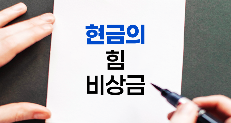 현금의 힘, 어니스트 버핏의 비상금 철학