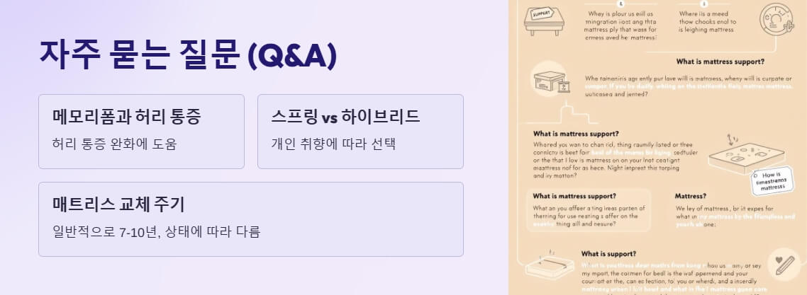 매트리스 관련 자주 묻는 질문을 정리한 인포그래픽. 허리 통증, 스프링과 하이브리드 비교, 교체 주기를 다룹니다