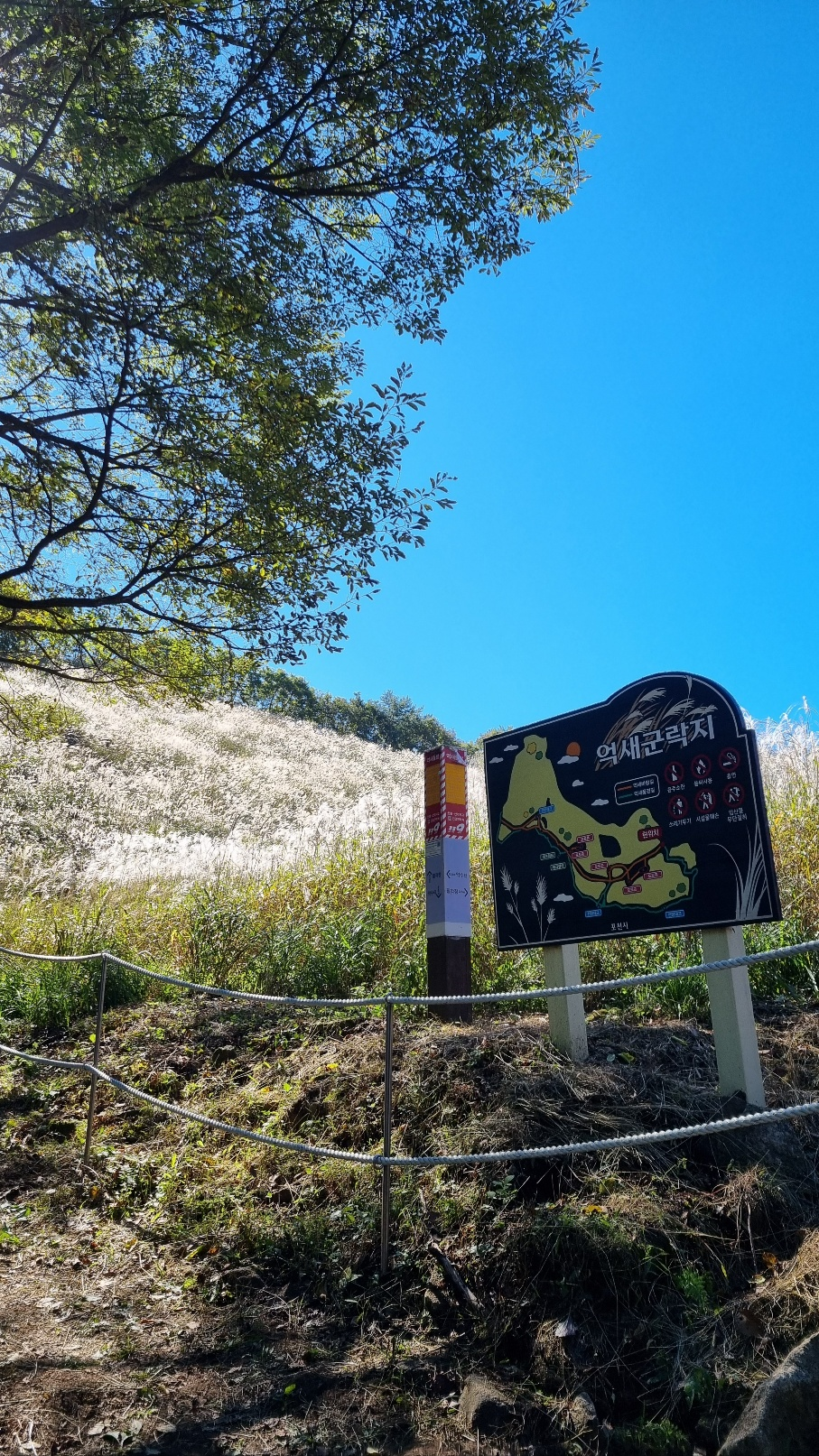 명성산억새꽃축제