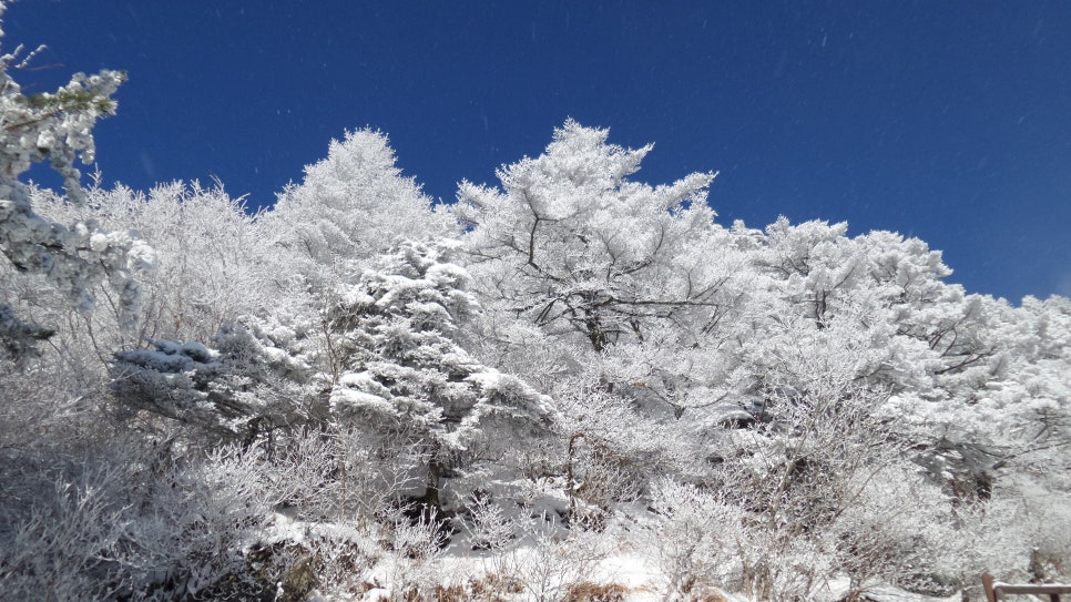 100대명산 등산하기 세번째 지리산(智異山) 은 대한민국을 대표하는 명산이자, 우리 민족의 정신이 깃든 산 남한의 최고 명산 천왕봉의 산