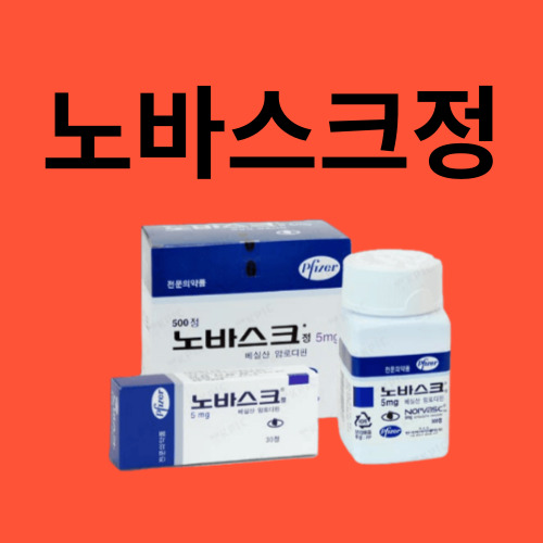 노바스크정