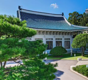 청와대 야간개장