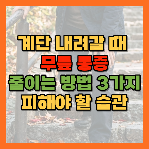 계단내려갈때무릎통증, 무릎통증줄이는법, 무릎아플때계단, 계단내려가는법, 허벅지운동, 대퇴사두근운동, 의자다리펴기, 무릎관절보호, 하산무릎통증, 내리막길무릎, 중년무릎관리, 가을나들이무릎, 난간잡는법, 무릎통증병원, 슬개대퇴관절, 편심성수축, 무릎앞쪽통증, 연골연화증, 퇴행성관절염운동, 계단오르는법, 시니어계단보행, 낙상예방, 무릎보호습관, 노년기무릎관리, 하체근력운동, 무릎통증원인, 계단통증, 관절건강, 무릎운동, 황금길가이드