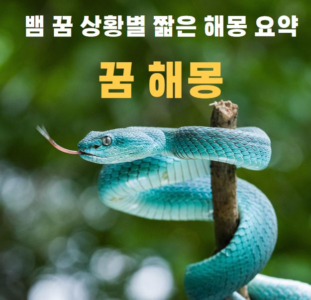 초록색 뱀이 나무를 감싸고 있다.