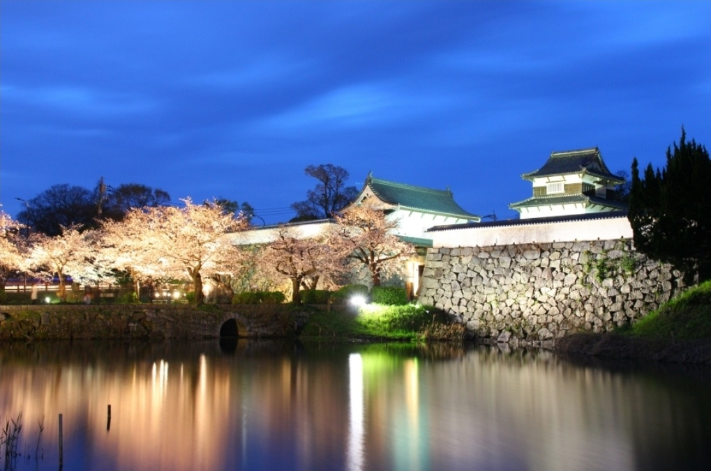 후쿠오카성 벚꽃축제