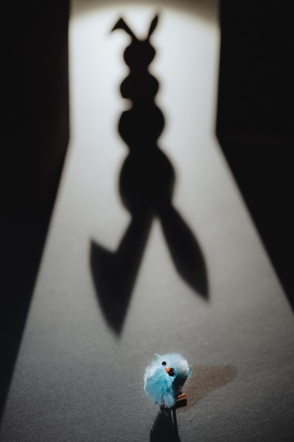 유체이탈을 통해 알 수 있는 자아와 현실의 본질