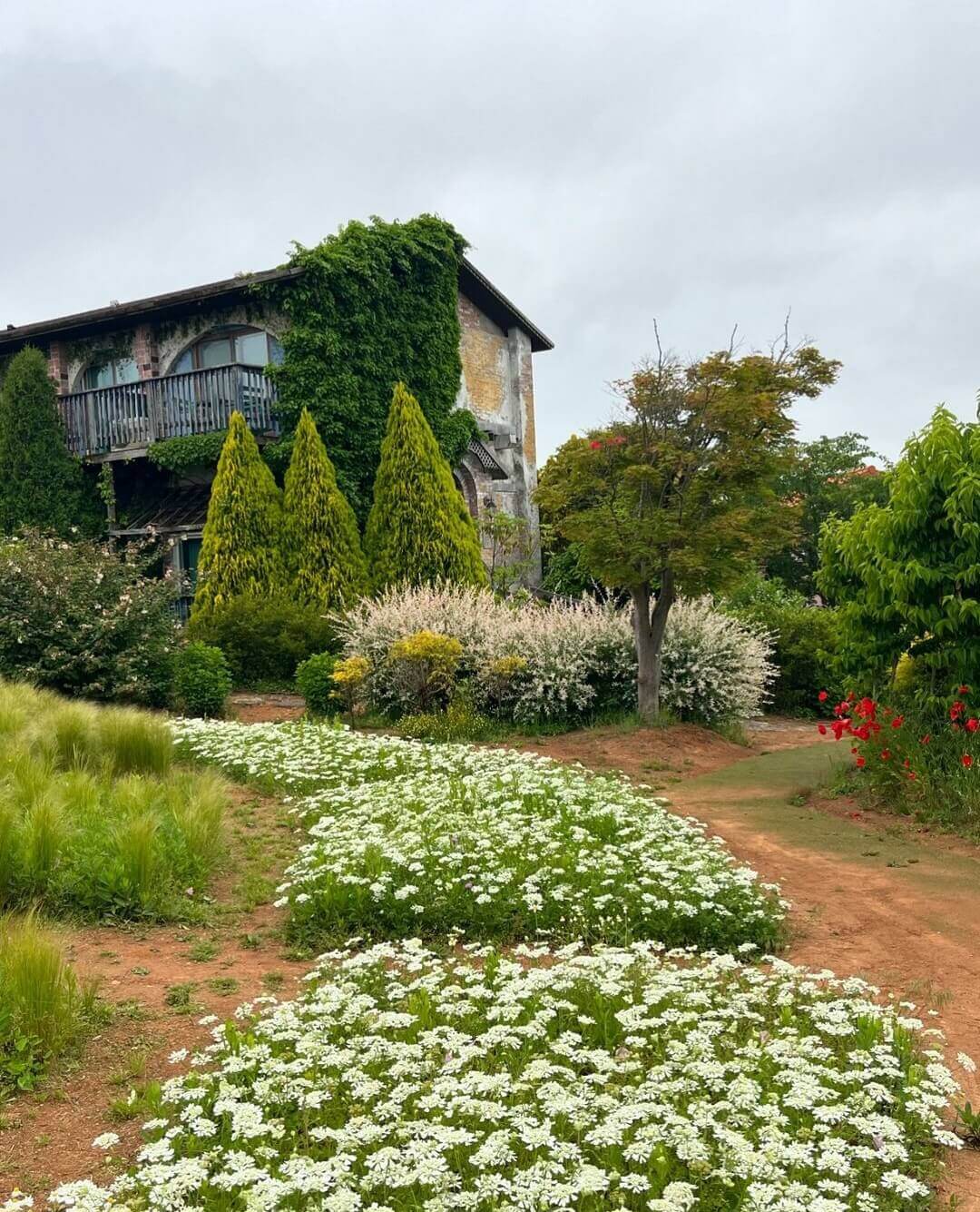 팜카밀레수국축제