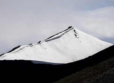 청년월세-특별지원-신청방법-수령-완벽-가이드