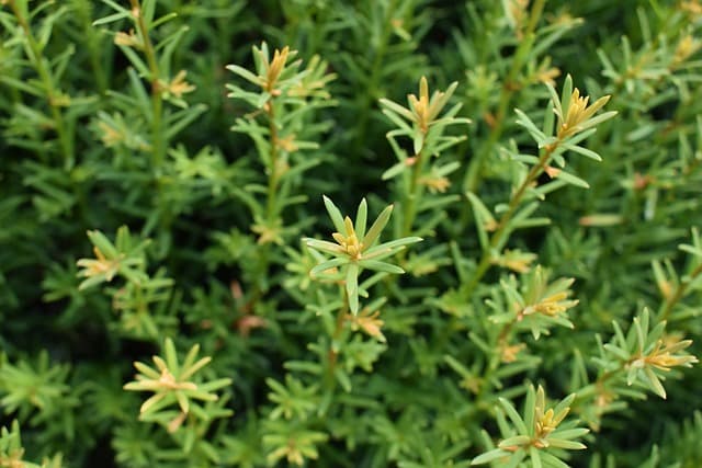 가족 모두가 즐길 수 있는 DIY 프로젝트 아이디