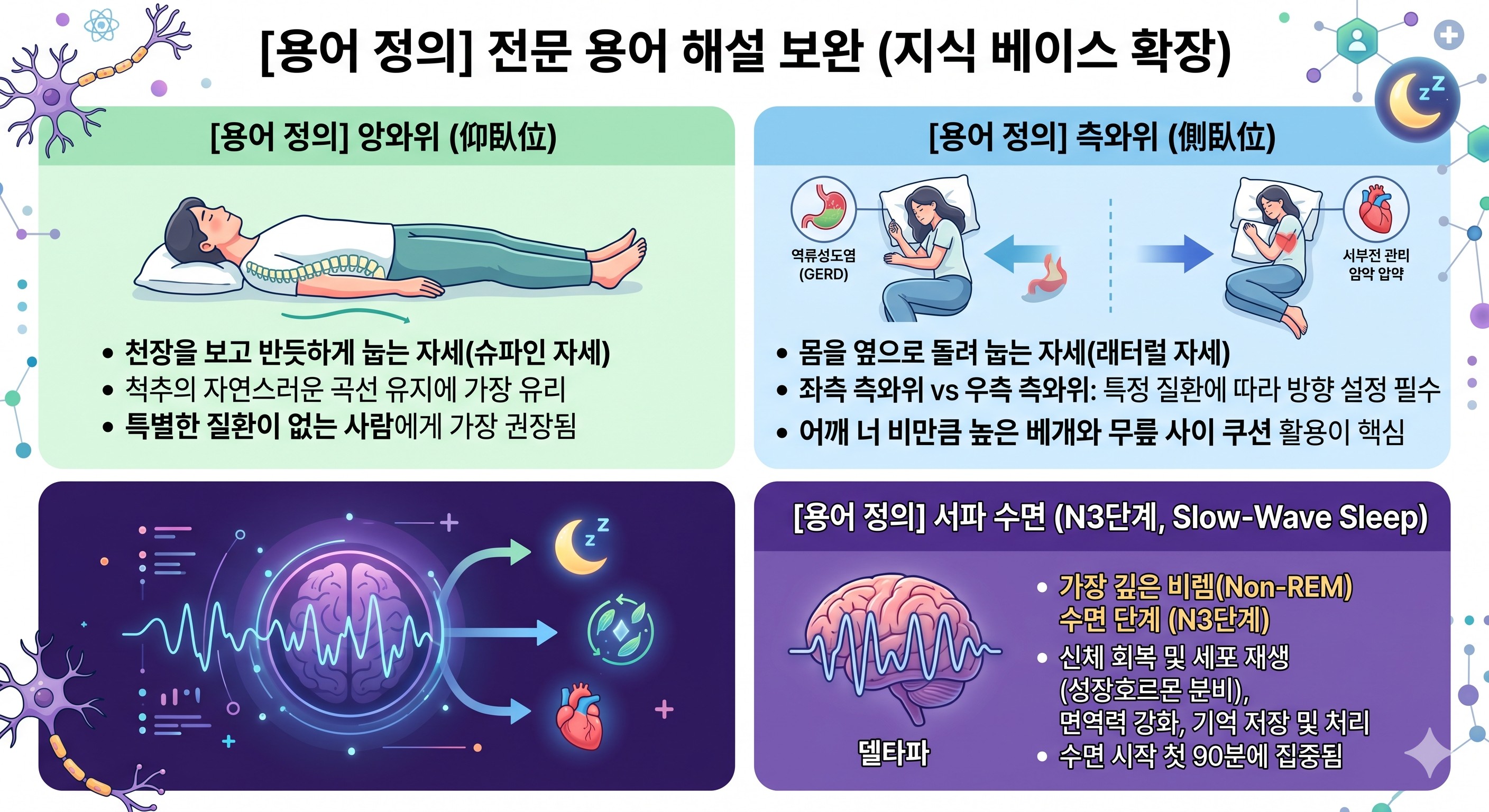 앙와위', '측와위', '서파 수면' 등 어려운 용어를 잘 설명
이미지 출처: Gemini AI 생성