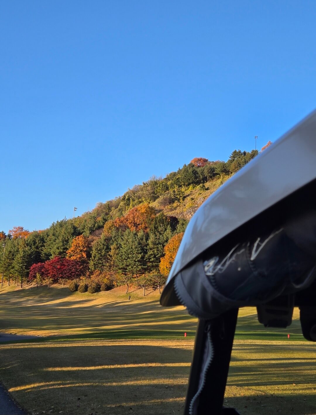 단풍든 페어웨이조경