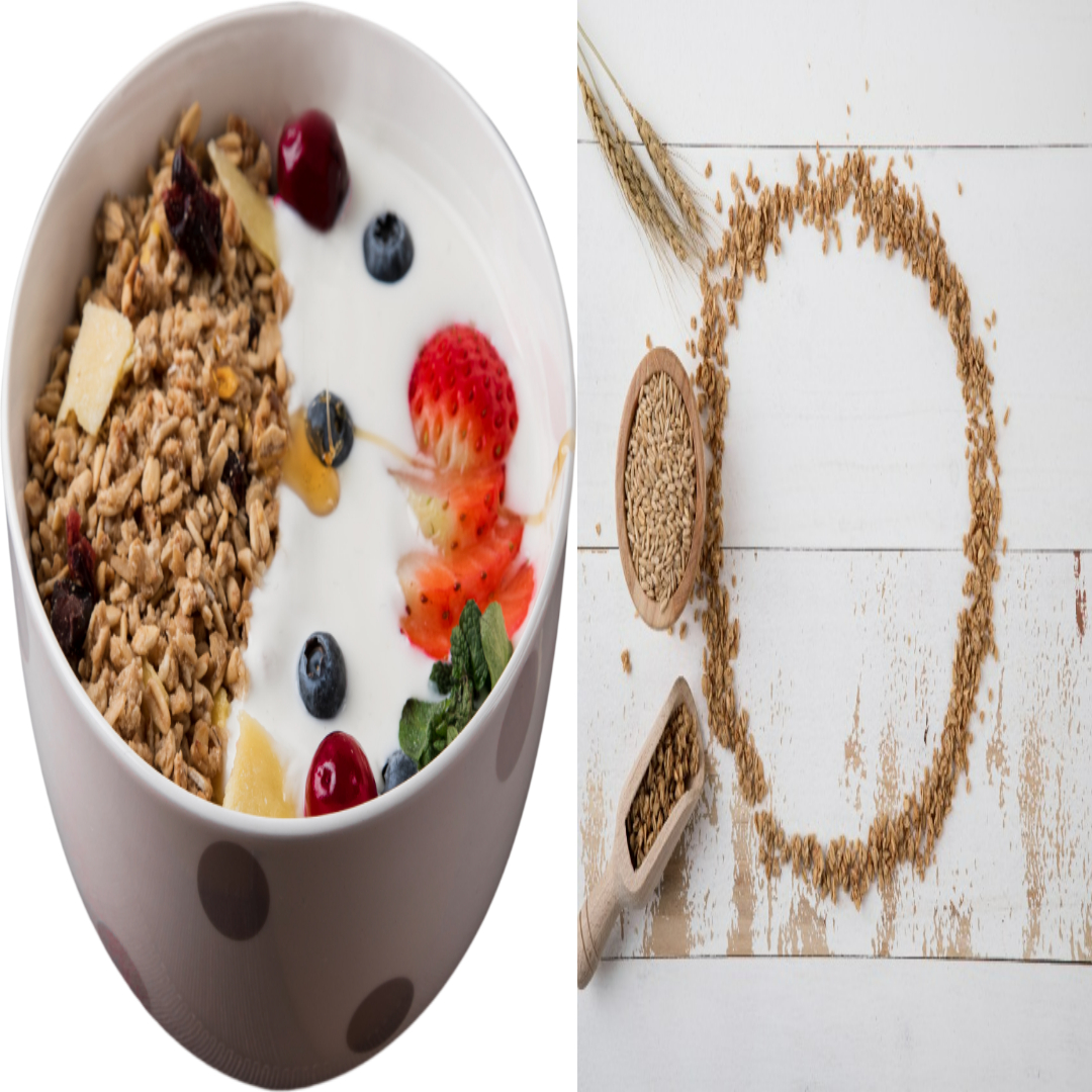 유산균 종류와 그 효능의 다양성