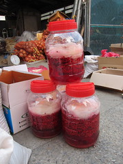 오미자차효능베스트7