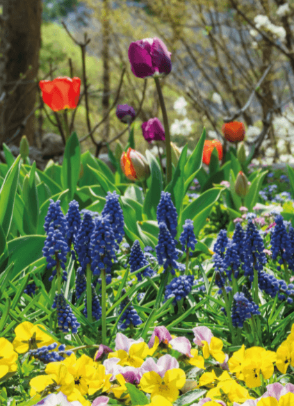 화담숲 단풍여행