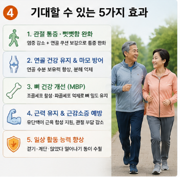 단콘백질정-효능-가격-성분-효과