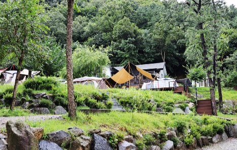용인 자연숲힐링캠핑장