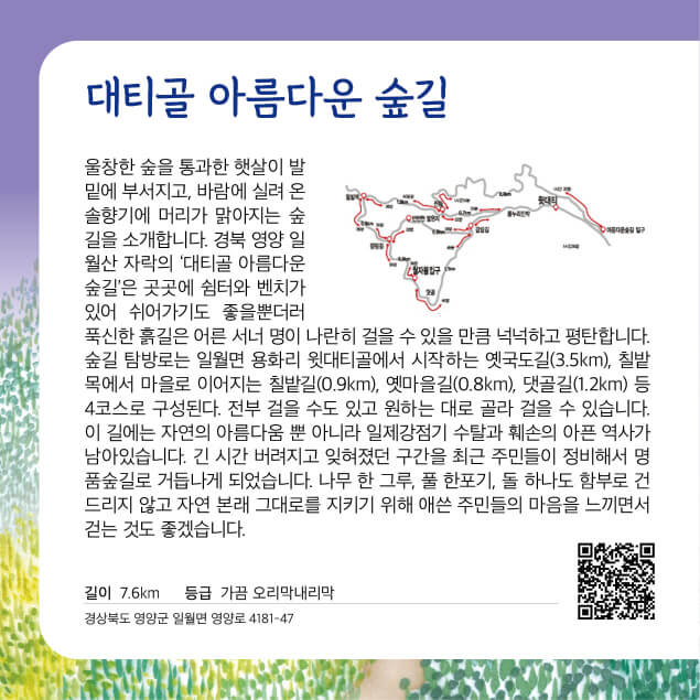 [명품숲길 50선] 경북 영양군 대티콜 아름다운 숲길, 아픔과 회복을 함께 걷는 길