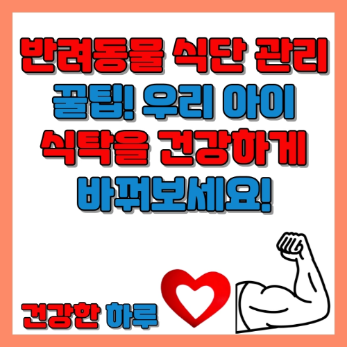 건강한 하루