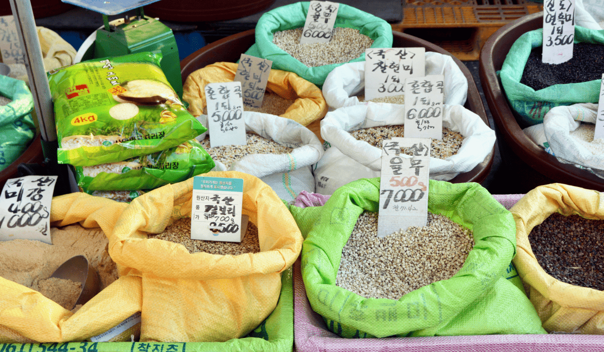 민생회복지원금_25만원_신청방법_18